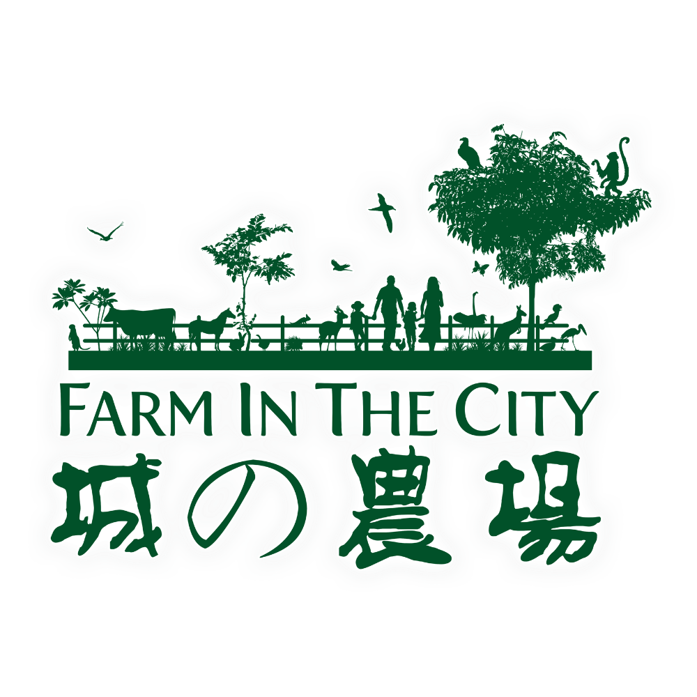 Merchant Logo